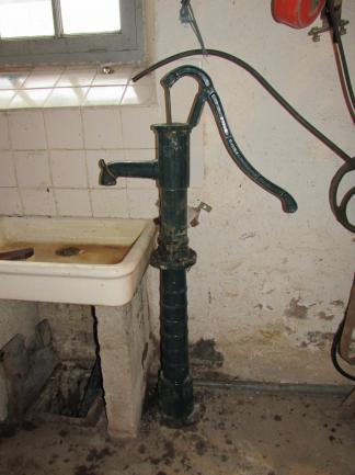 Img 3329