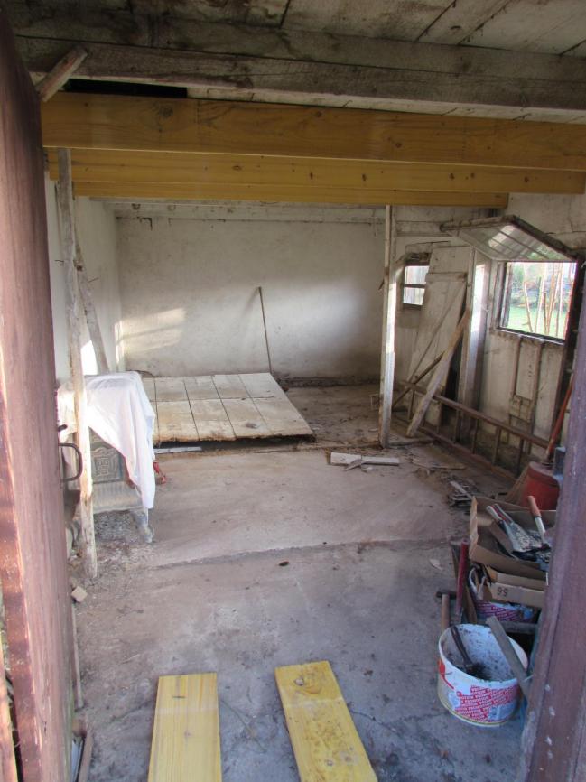 Img 3533